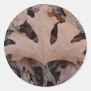Search for dead leaves stickers Autumn