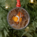 Search for coral ornaments Photography
