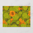 Search for vintage botanical print postcards Yellow