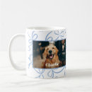 Search for light blue pattern Pet photo