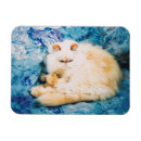 Recherche de chat persan magnets Chats