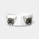 Recherche de chiwawa animaux articles Animal familier