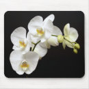 Recherche de orchidée noire tapis souris Fleur