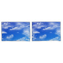 Search for fluffy pillowcases Blue