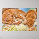 Recherche de dormir posters Pour animaux