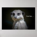 Recherche de kat posters Mignon