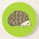 Search for cute hedgehog coasters Hedgehogs