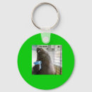 Recherche de poisson chat accessoires Poissons