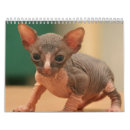 Recherche de sphynx calendriers Mignon