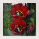 Recherche de tulip puzzles Tulipe rouge