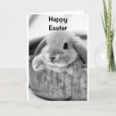 Search for jokes easter cards Bunny