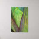 Search for habitat canvas prints Judith zimmerman