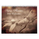 Search for flowers calendars Botanical