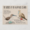 Recherche de gala cartes postales Pour tous