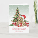 Search for teddy christmas cards Bear