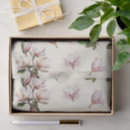 Search for magnolia tissue paper White flowers