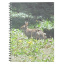 Search for wild notebooks Meadow