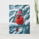 Search for red cardinal bird christmas cards Pine tree