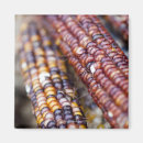 Recherche de nourriture magnets Nutriments