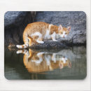 Search for pond reflection mousepads Nature