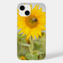 Search for flower bee electronics Sunflower