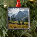 Search for wilderness ornaments North america