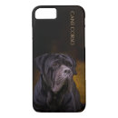 Recherche de cane corso Amoureux de les chiens