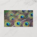 Recherche de motif de paon cartes visite Nature