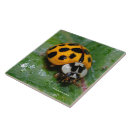 Search for ladybug tiles Leaf