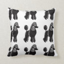 Recherche de caniche noir coussins Chien