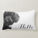 Search for poodle pillows Pets