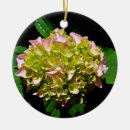 Search for hydrangea ornaments Pink