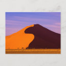 Search for namib postcards Dune