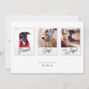 Search for snapshot cards Collage