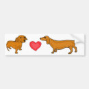 Search for funny dachshund bumper stickers Cute