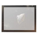 Search for science notepads Concept