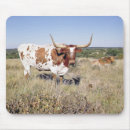 Recherche de longhorn tapis souris Américain