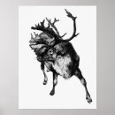Recherche de cerf vintage posters Antlers