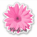 Search for pink water bottle stickers Summer