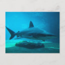Recherche de image dange cartes postales Image en couleur