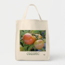 Recherche de tomates sacs Jardin