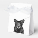 Recherche de de chien ballotins Boîte