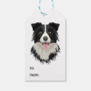Search for border collie cartoon Puppy