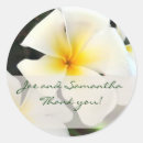 Search for white plumeria stickers Floral