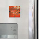 Recherche de 31 octobre magnets Orange