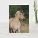 Search for bob cards Animal