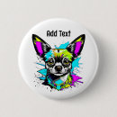 Recherche de chihuahua badges Petit chien