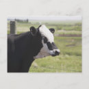 Recherche de scène rurale cartes postales Agriculture