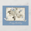 Search for vintage butterfly postcards Butterflies