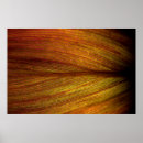 Search for macro leaf Texture